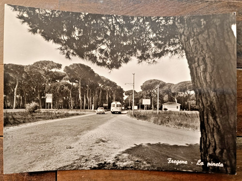 Anni fregene la pineta - ,,