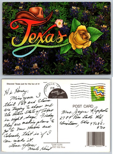 Cartolina cappello rosa - rosa, texas