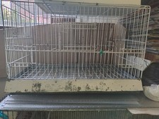 gabbia per uccelli usata