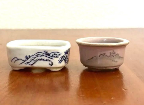 Rarissimo mini vaso bonsai - mini,