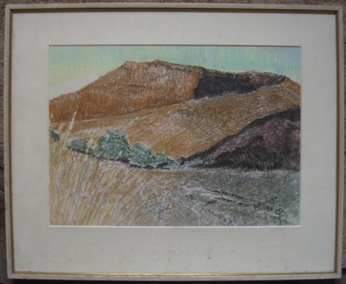Pastello dipinto 1956 - dipinto,