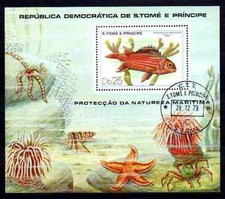 Pesci Saint Thomas E Principe