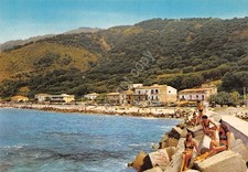 Cartolina Pisciotta Marina