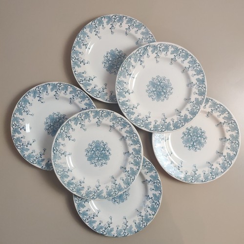 Assiettes plates décor - décor, néva