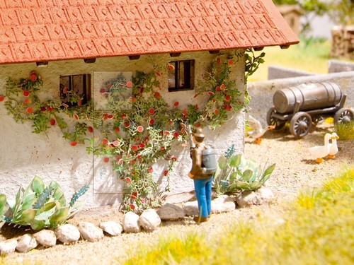 Noch 14118 rose rampicanti - 14118,