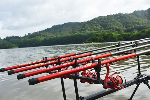 Canna pesca telescopica - canna, da