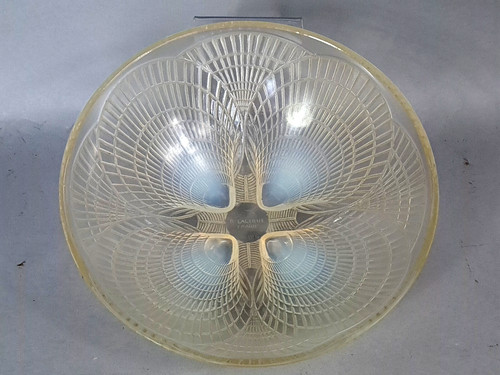 René lalique taglio con - rené,