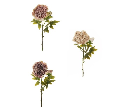 Peonia dry look artificiali - dry,