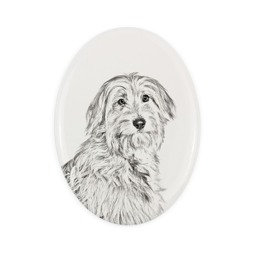Cane pastore dei pirenei i - cane,