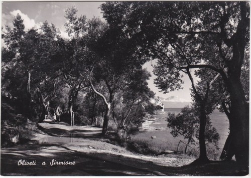 Oliveti sirmione brescia - sirmione,