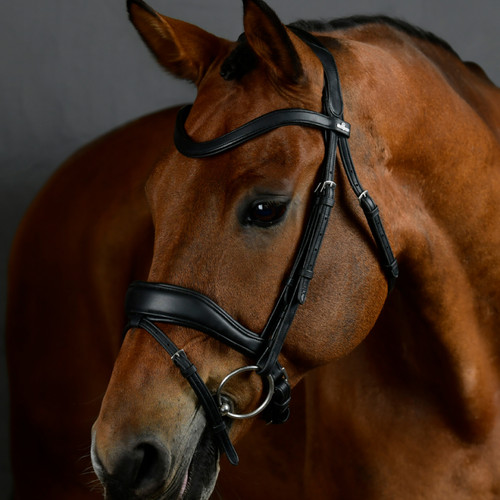 Briglia dressage imbottita - da,