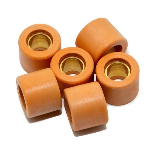 Pesi variatore leovince rulli - variatore,