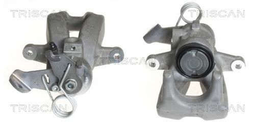 Pinza freno triscan 8170 - freno,