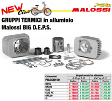 MALOSSI GRUPPO TERMICO BIG