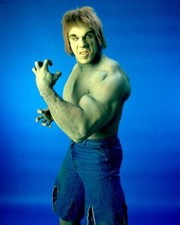 LOU FERRIGNO Poster Print