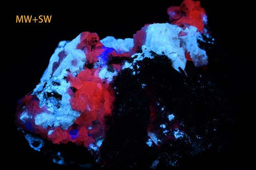 Scheelite fluorescente