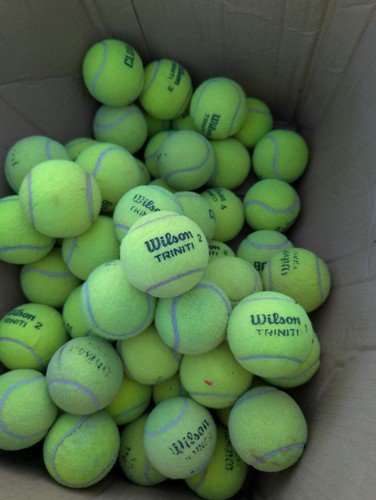 Wilson triniti club palle - club,