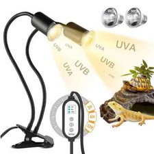 Lampada riscaldante rettile