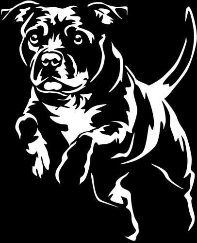 Adesivo staffordshire - adesivo,