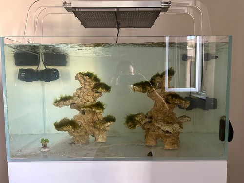Come titolo vendo acquario - da,