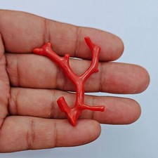 Corallo rosso mediterraneo