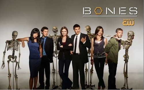 Bones dvd - (various, seasons)