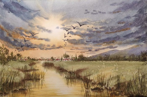 Oche che volano cielo - volano, nuvoloso