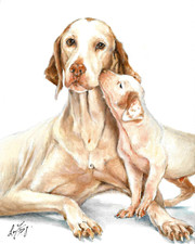 ✤ Dipinto ORIGINALE olio