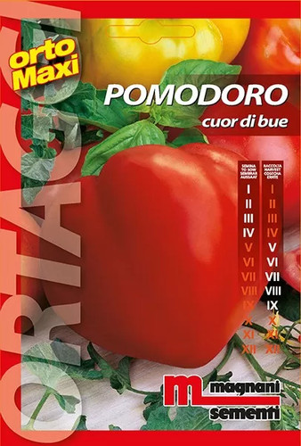 Semi pomodoro cuor bue - pomodoro,