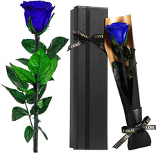 Rosa Stabilizzata Blu Vera