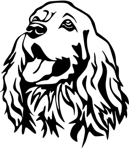 Adesivo cocker spaniel - adesivo,