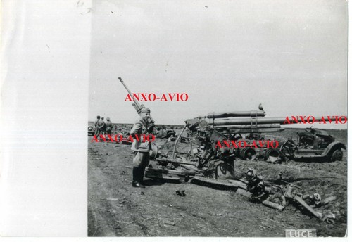 Foto fronte russo csir - foto,