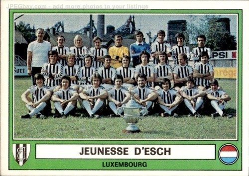 Figurina panini euro - figurina, football