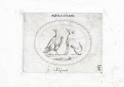 Rara stampa