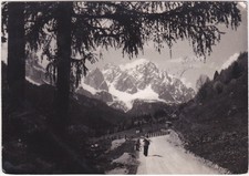 FORNI AVOLTRI - UDINE - SIERA SPITS - VIAGG. 1957 -28373-