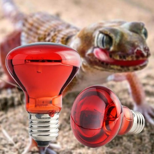 Lampada riscaldante uova - riscaldante,