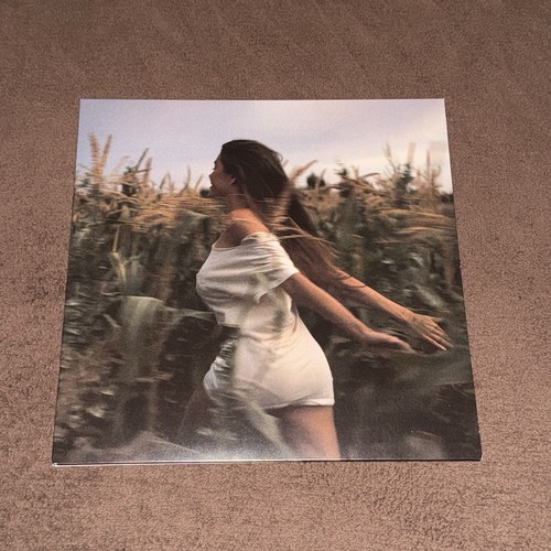 Madison beer silence between - beer,