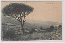 Antica cartolina livorno - cartolina, di