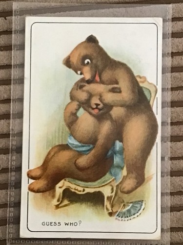 Early 1900s postcard teddy - postcard,