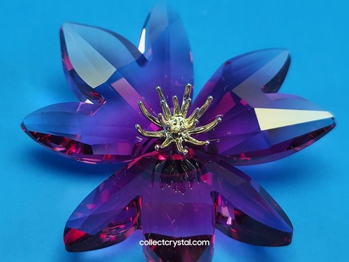 Swarovski fiori del paradiso - fiori,