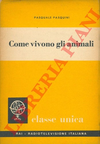 Pasquini pasquale come - pasquini,