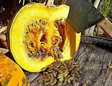 Semi di zucca all'olio della
