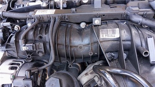779738411 collettore - ,