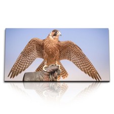 Quadri stampa artistica 120x80 cm falco caccia al falco Dubai rapace rapace rapace