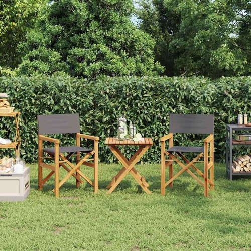 Folding director chairs - chairs, 2