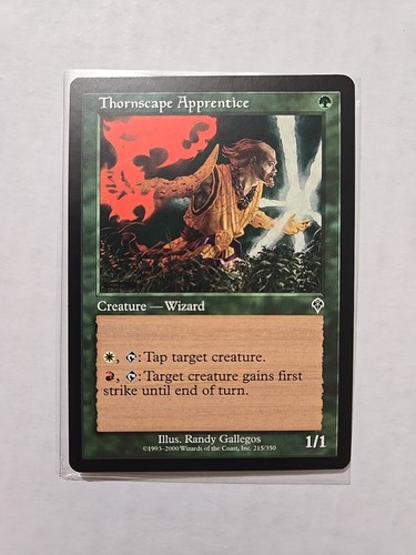 Apprendista paesaggio spine - apprendista,