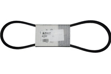 CINGHIA ORIGINALE PER RASAERBA