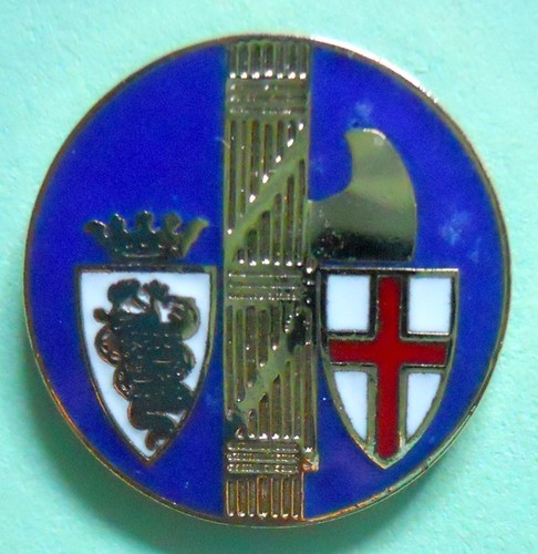 Distintivo spilla pin badge - pin,