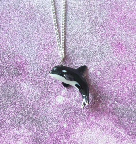 Orca balena porcellana - orca,