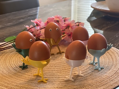 Porta uovo pulcino pasqua - pulcino, di